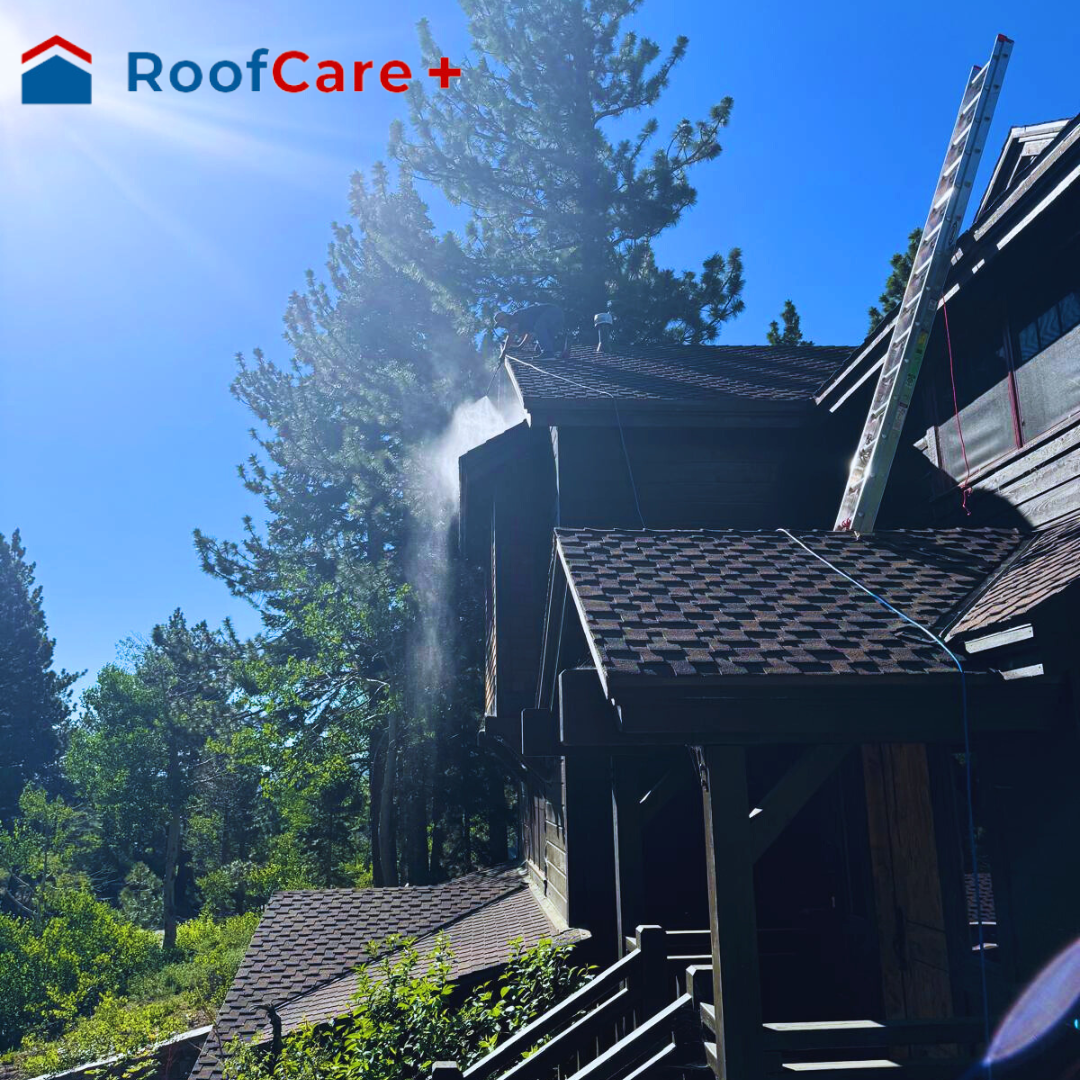 How Roof Regeneration Can Add 10+ Years to Your Existing Roof